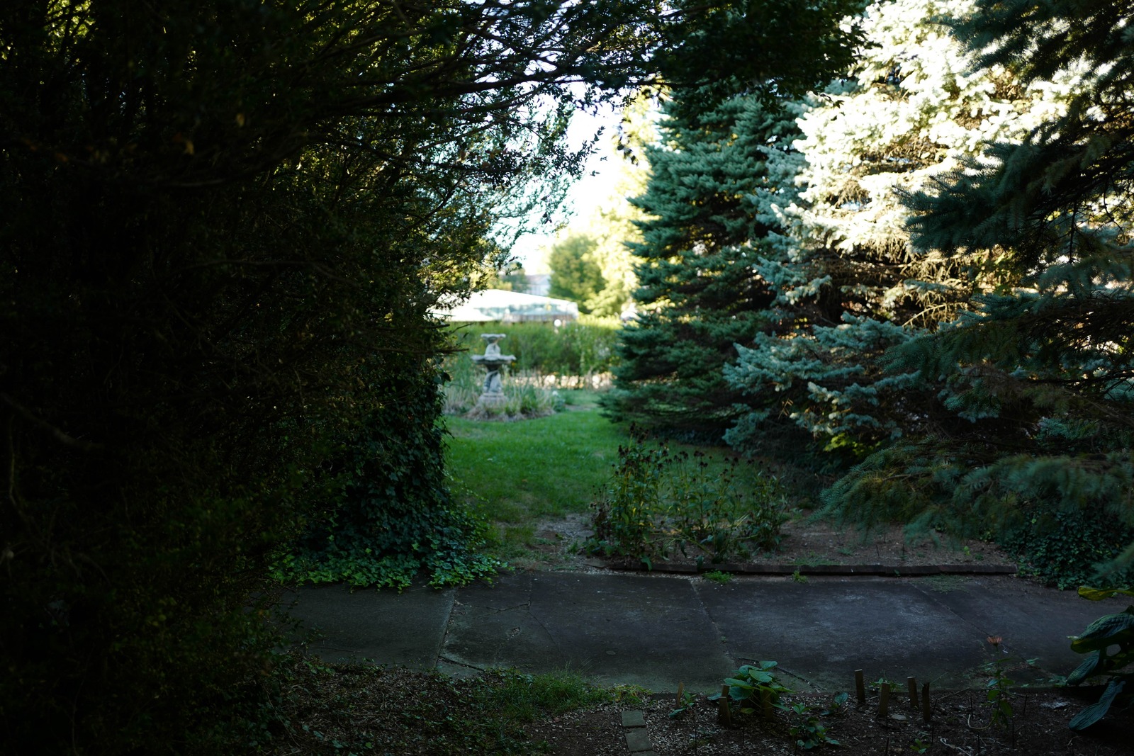 Serene Garden Pathway