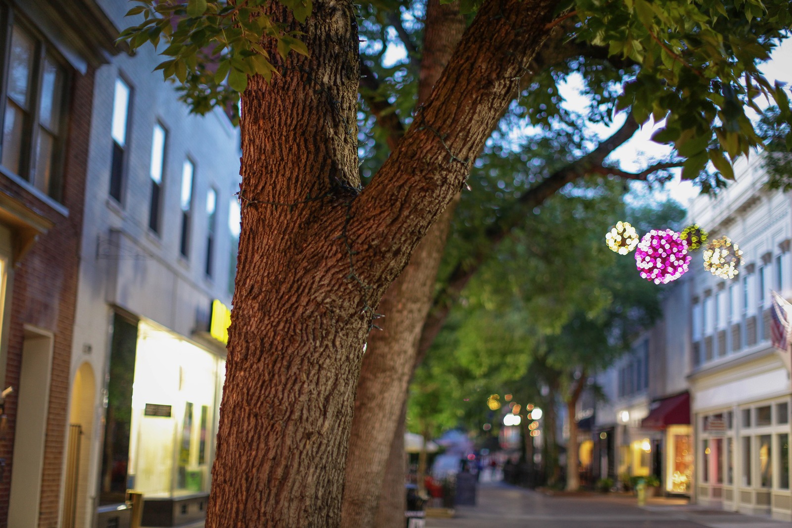 Twilight Street Charm