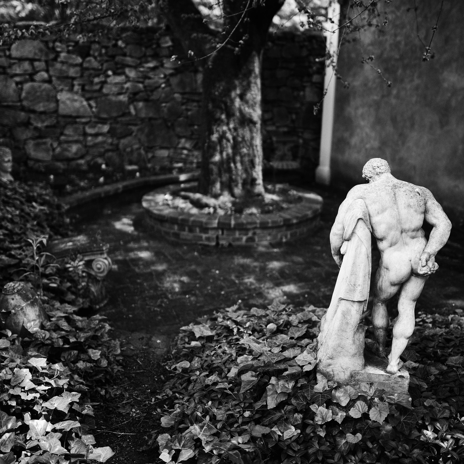 Silent Embrace of Nature