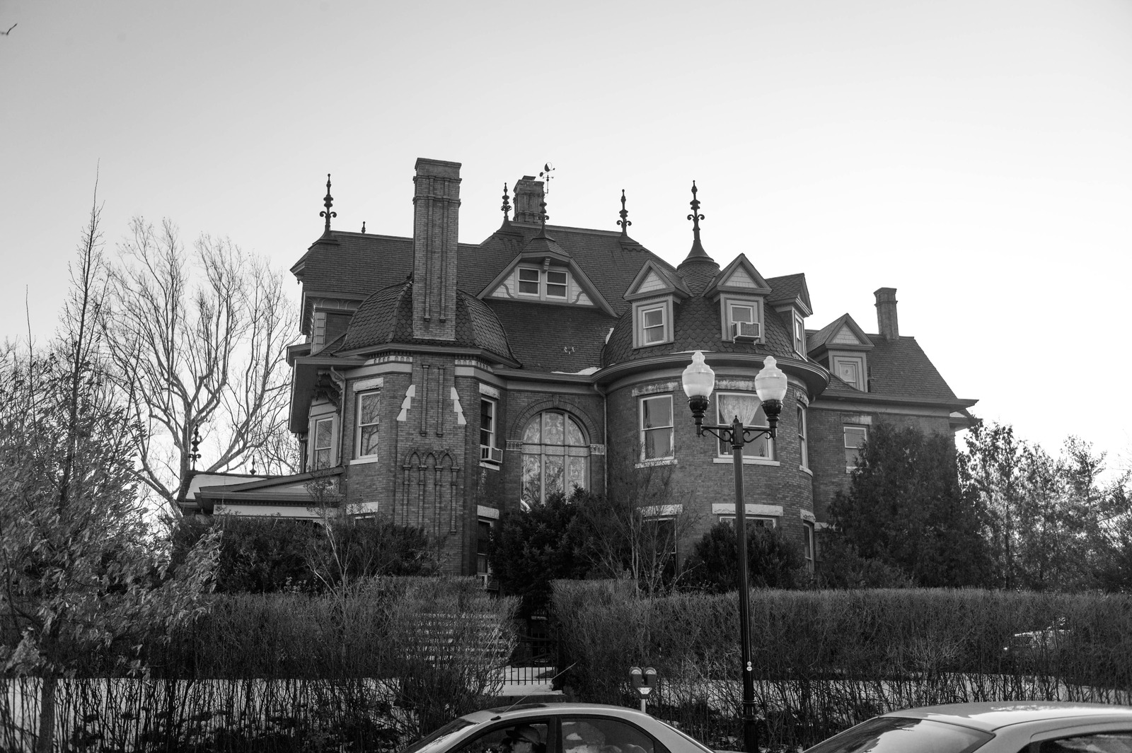 Gothic Elegance in Shadows