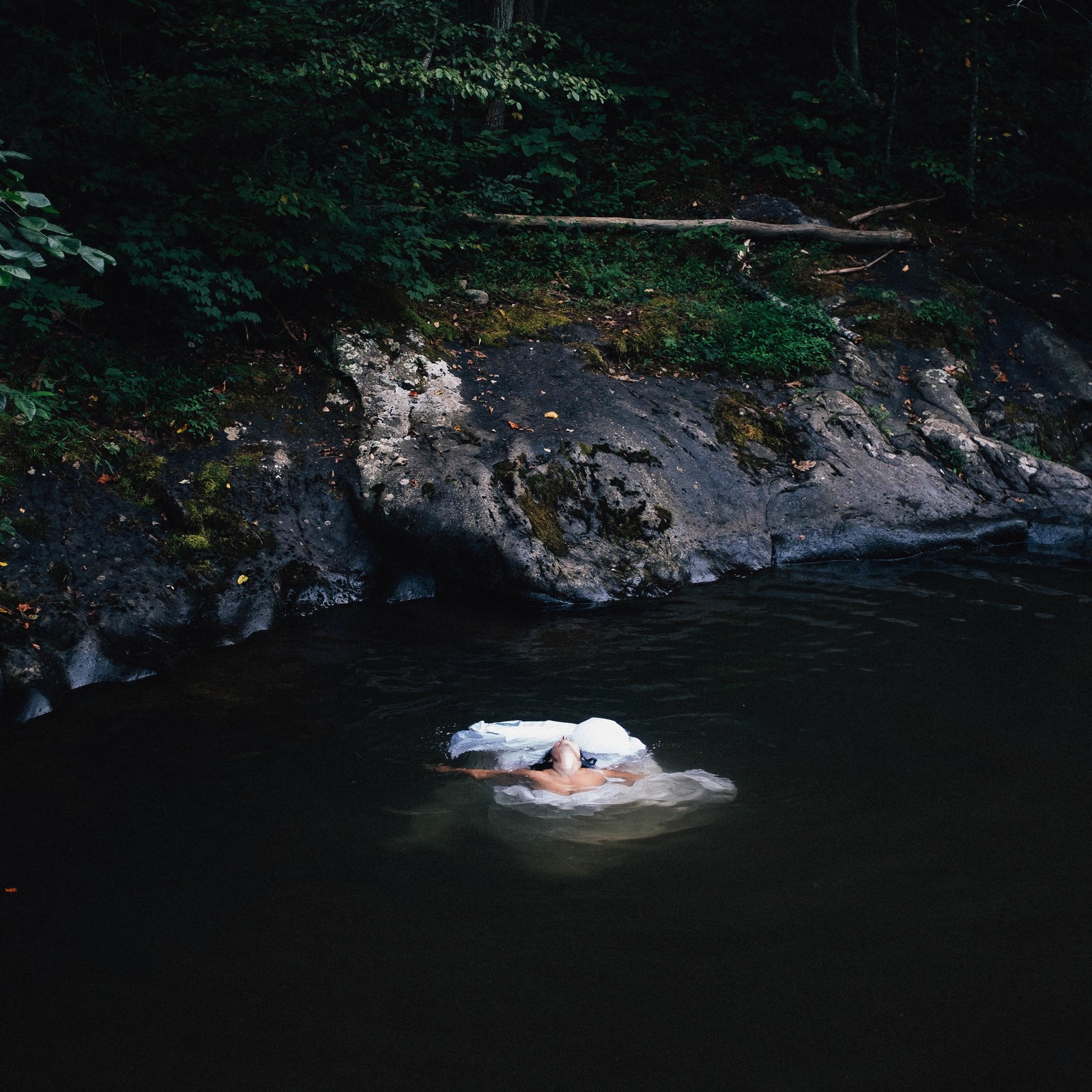 Serenity in Solitude