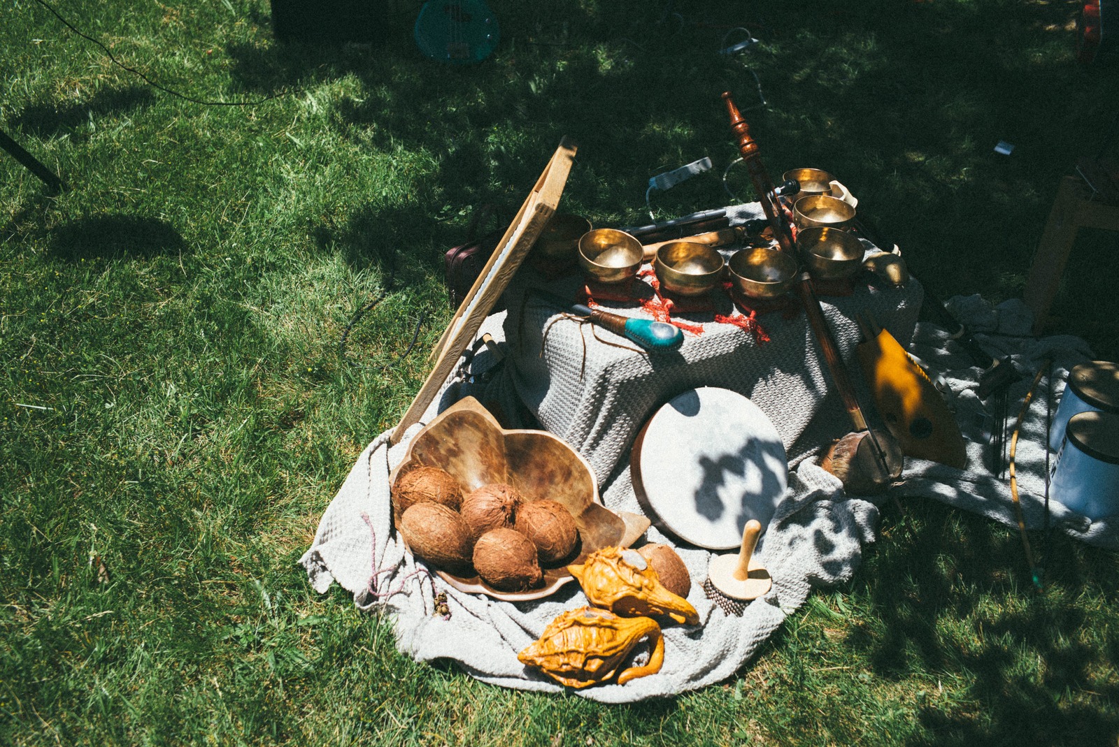 Harmony of Instruments and Nature