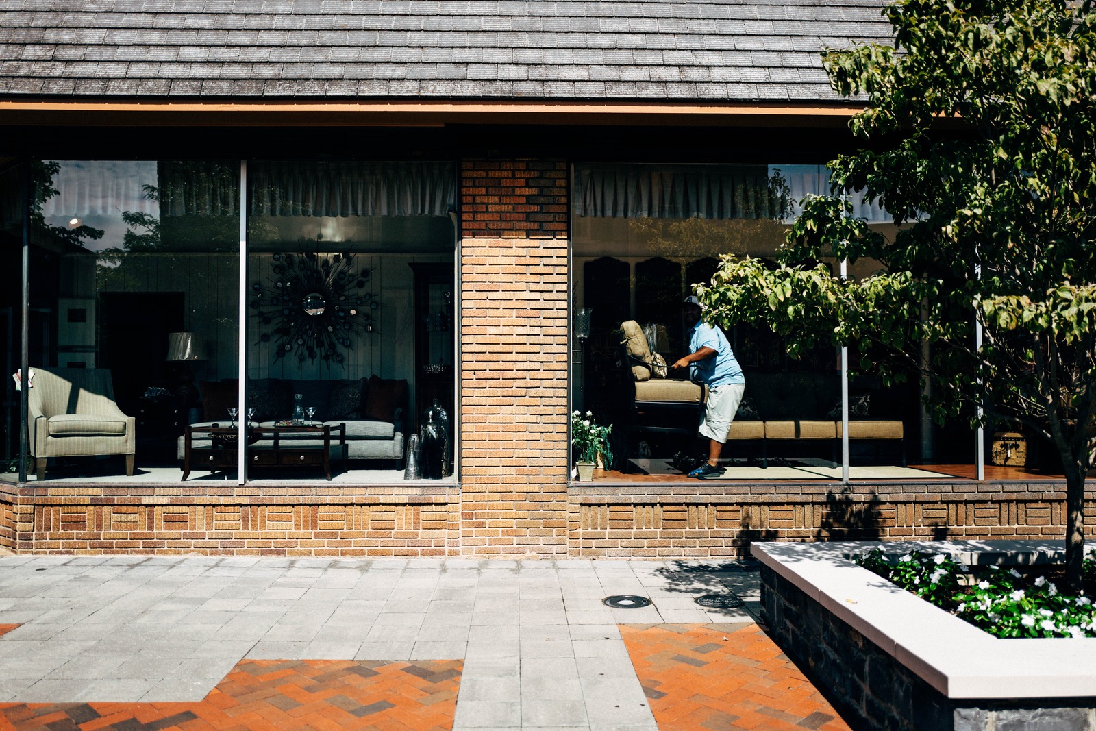 A Glimpse into Domestic Life