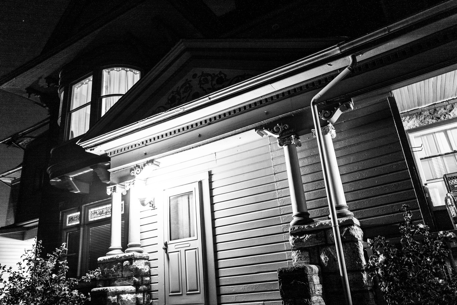 Haunting Elegance of the Night