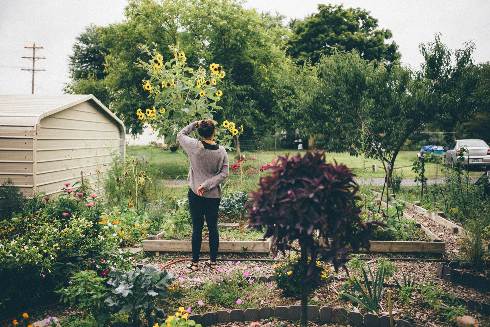 Contemplative Garden Stroll