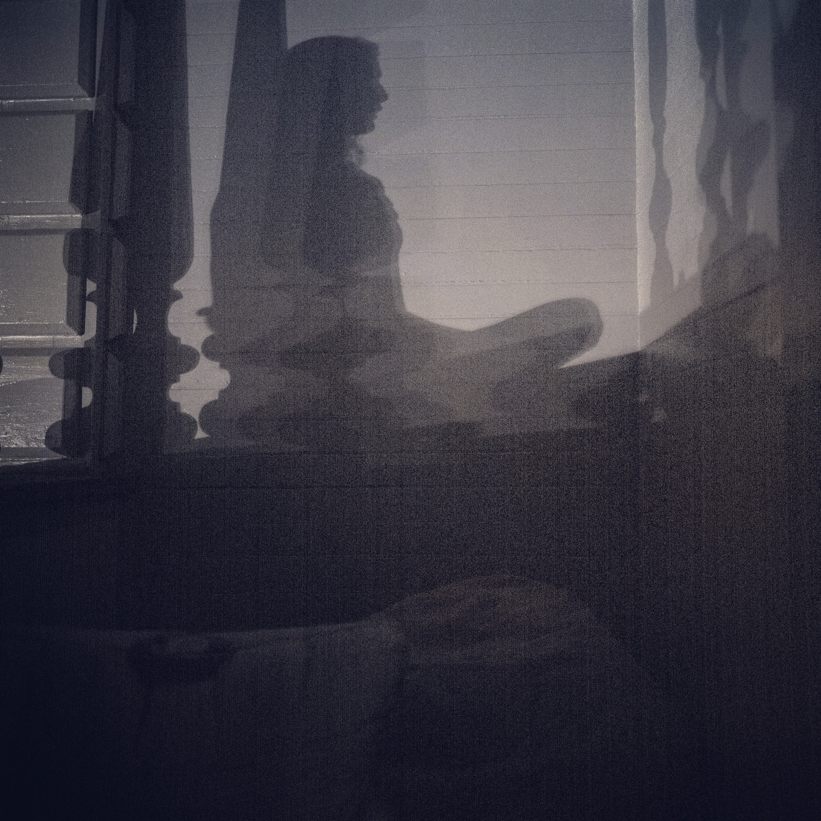 Silhouette of Serenity