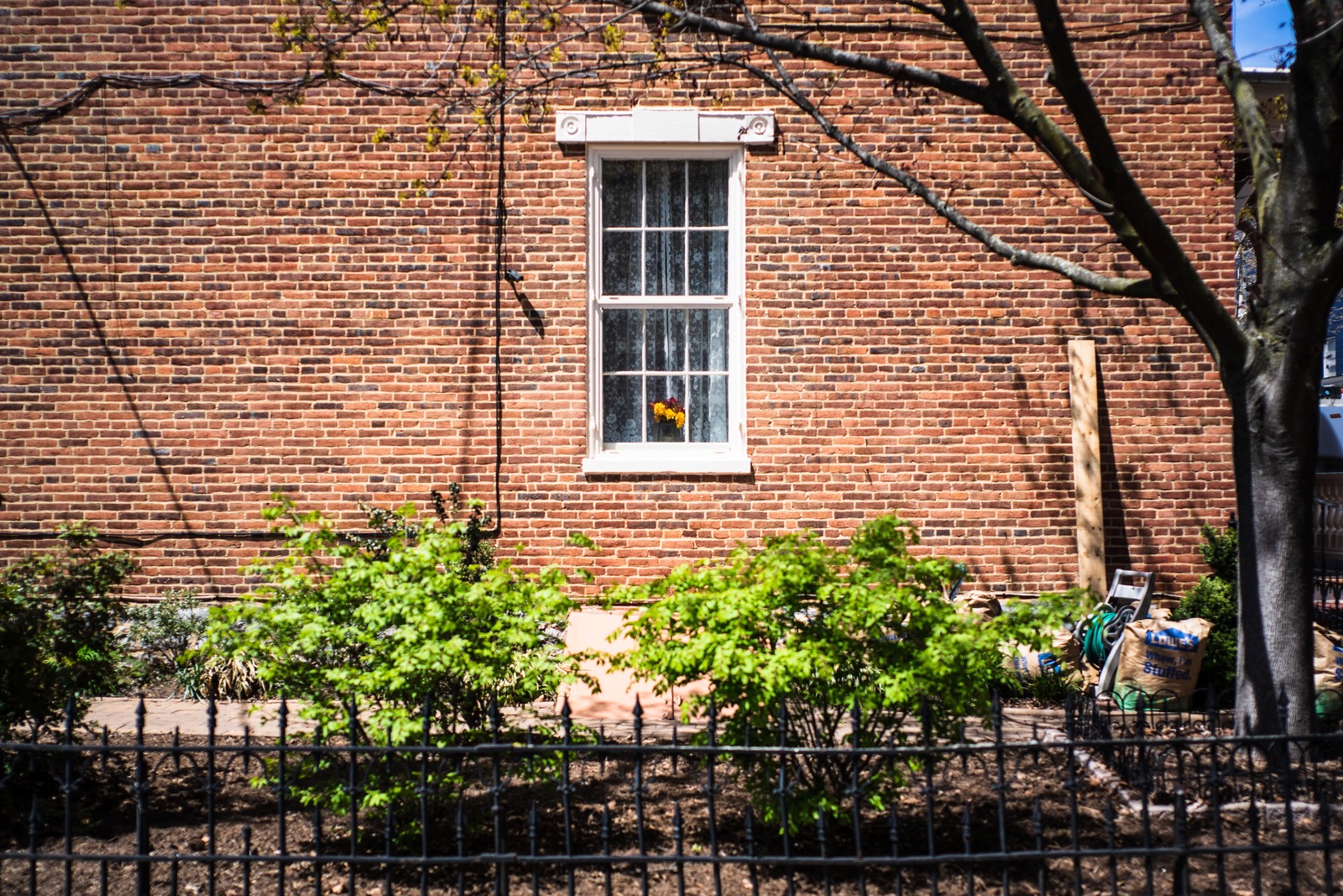 Quiet Corner of Home