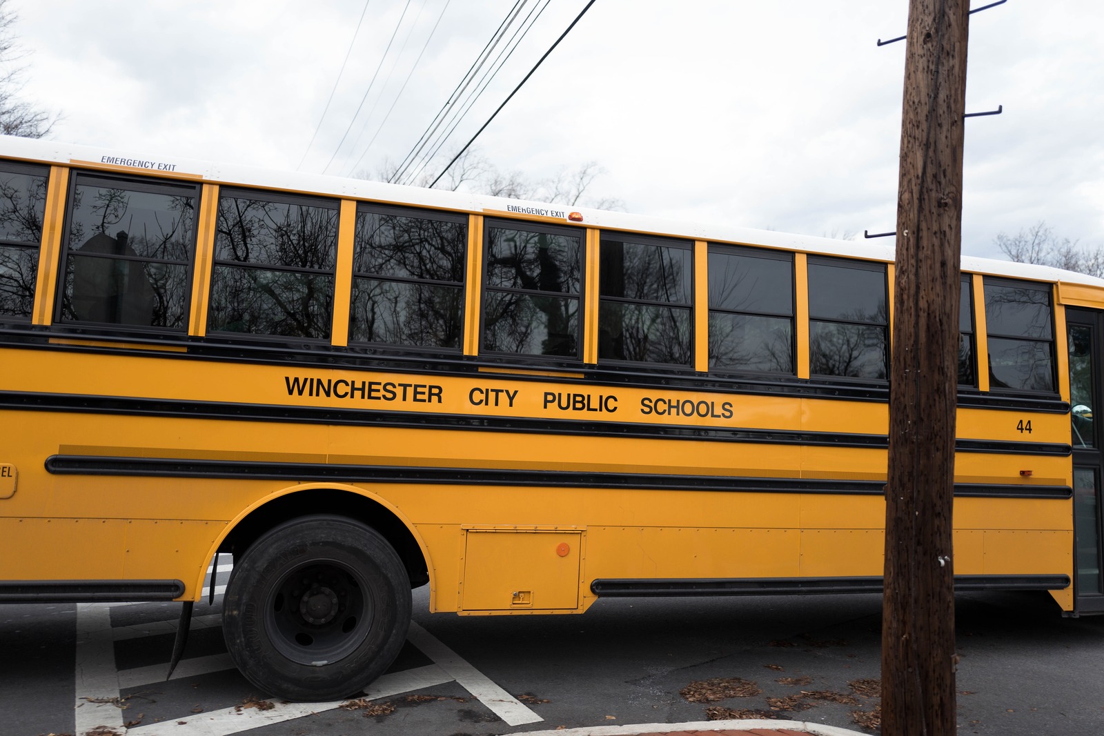 A Symbol of Childhood Journeys