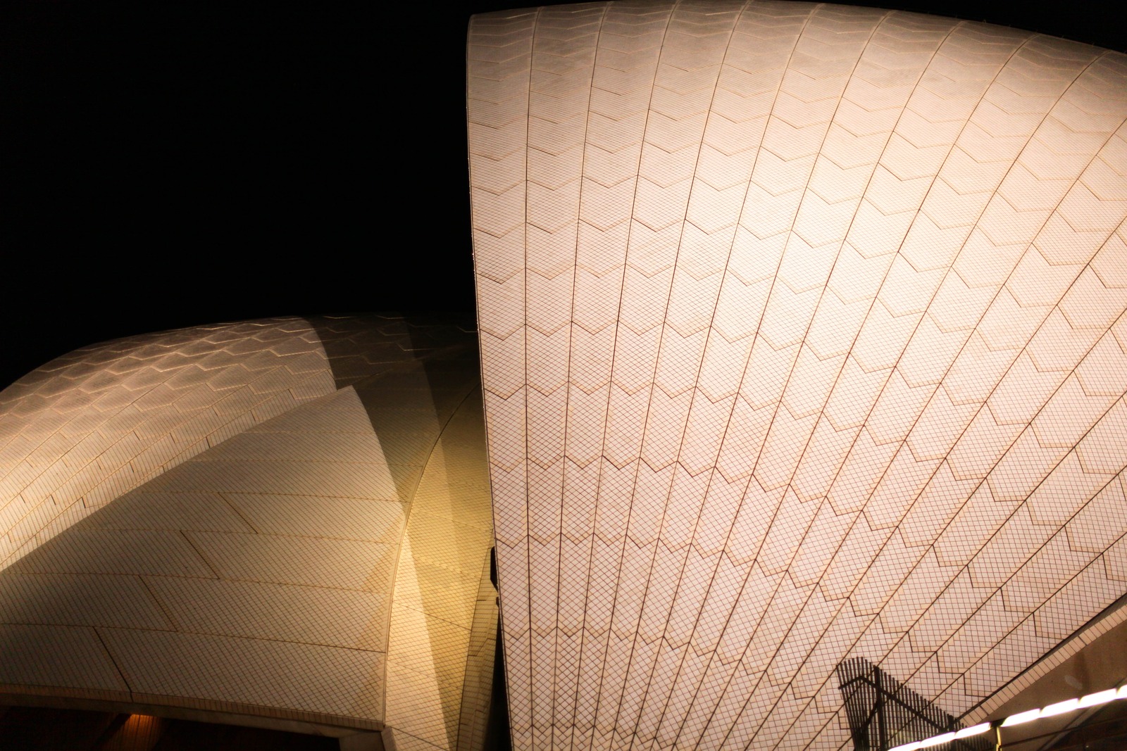 Architectural Elegance at Night