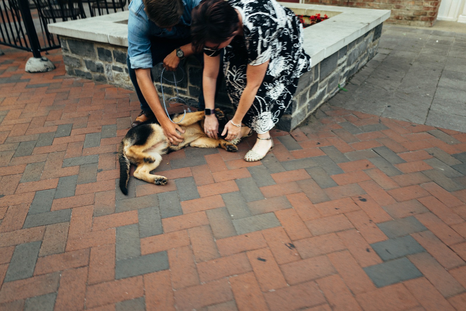 Joyful Petting Moment