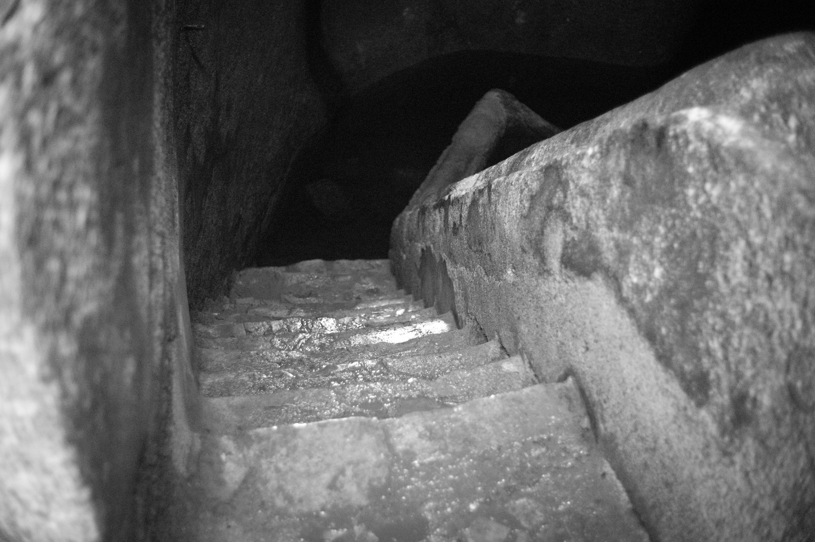 Descent into Shadows