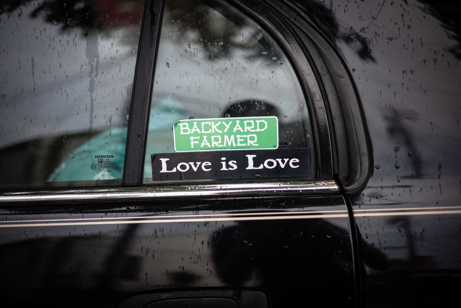 Messages on a Rainy Day