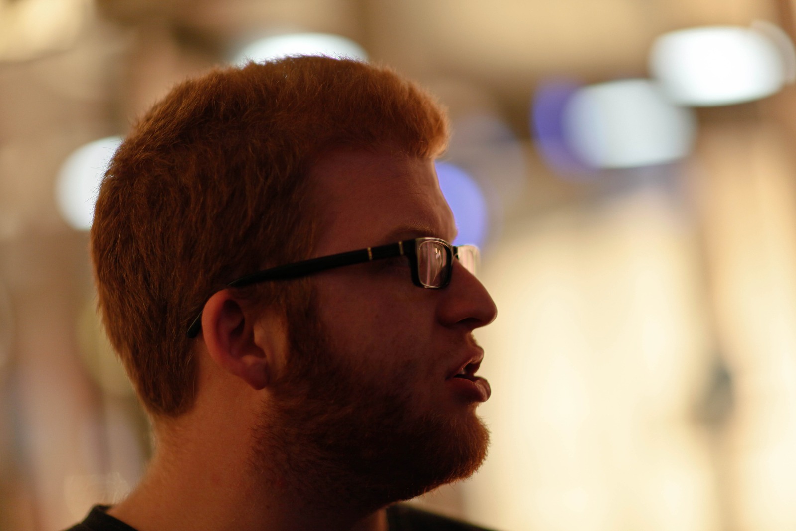 Contemplative Profile