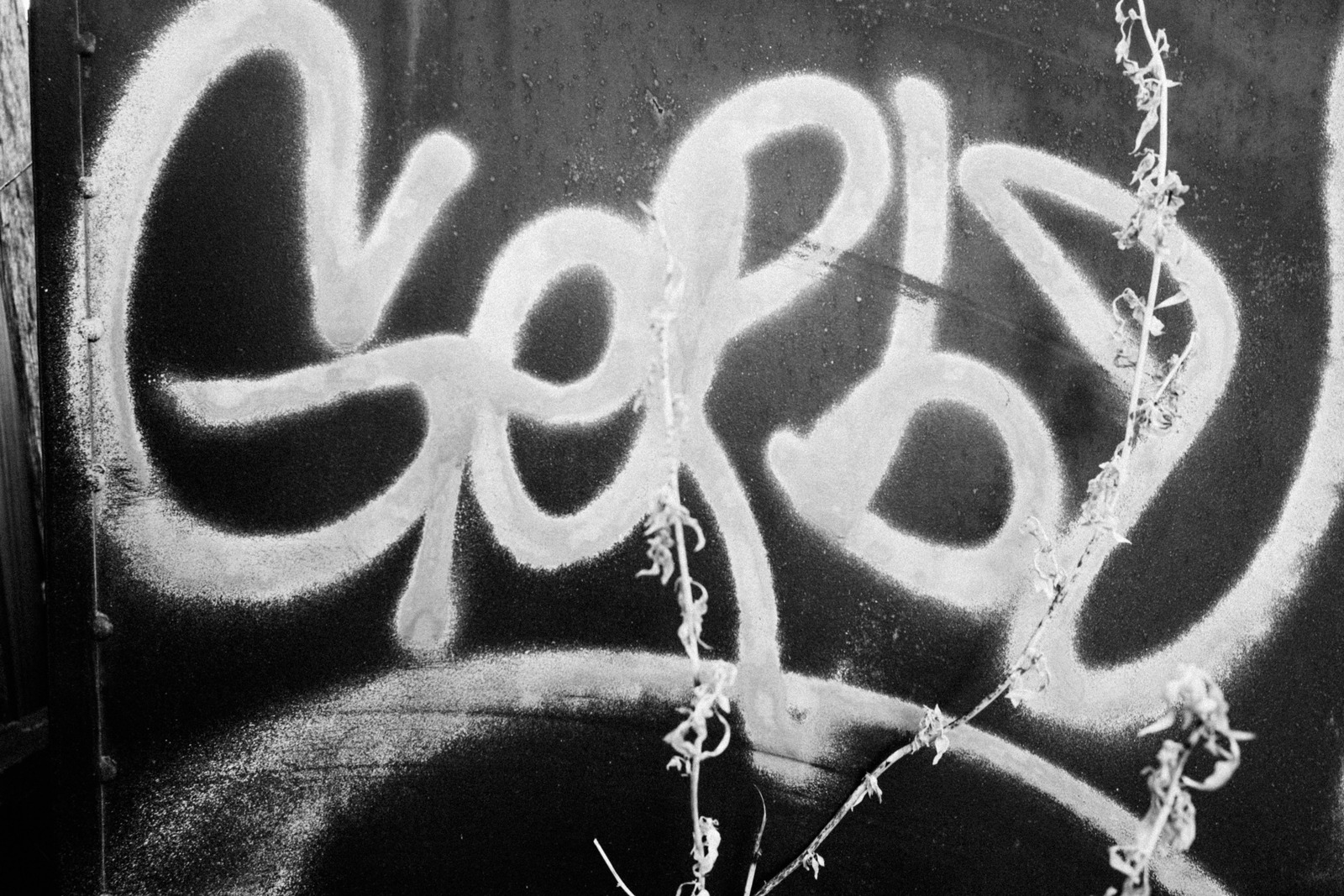 Urban Echoes in Shadows