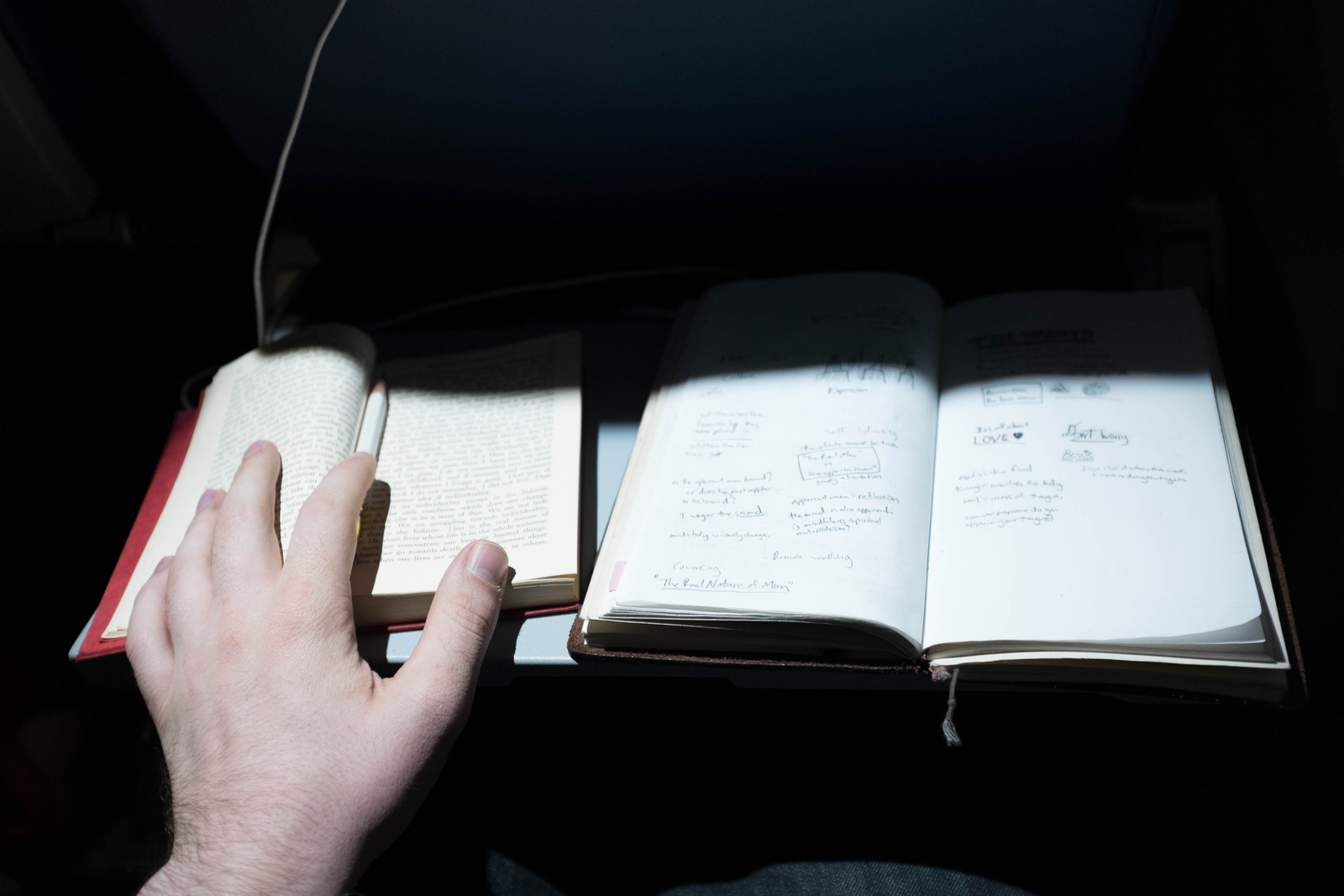 Introspective Journey