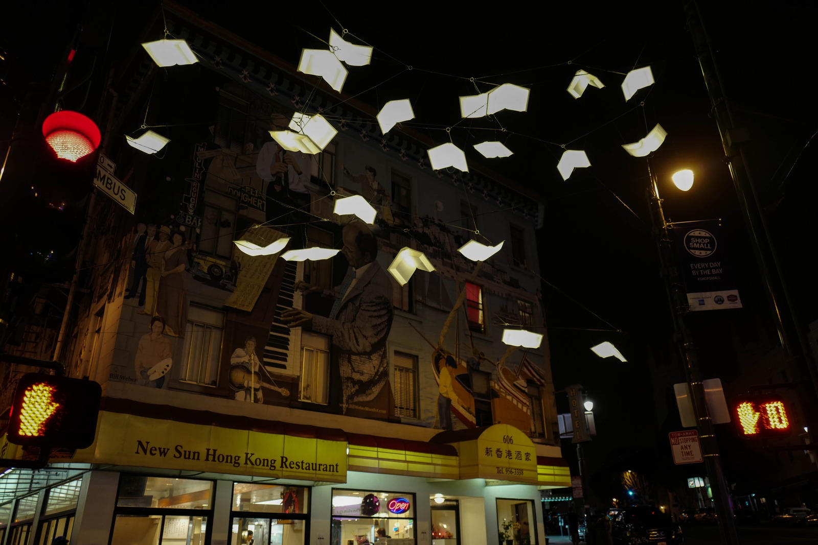 Illuminated Pages of Night