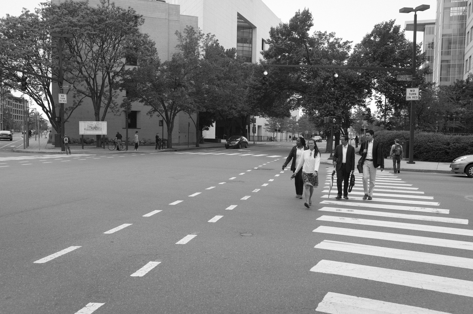 Urban Crossing in Monochrome