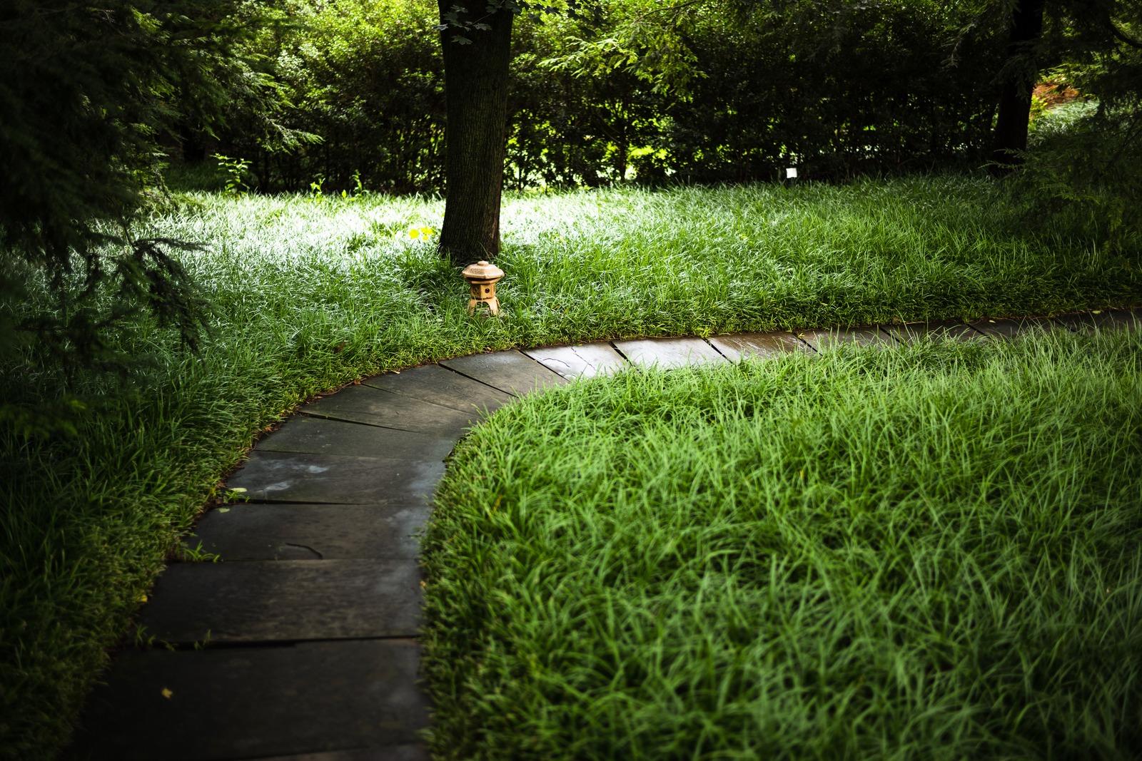 Serene Garden Pathway