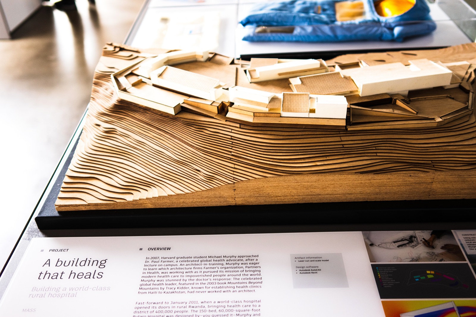 Architectural Vision in Wood