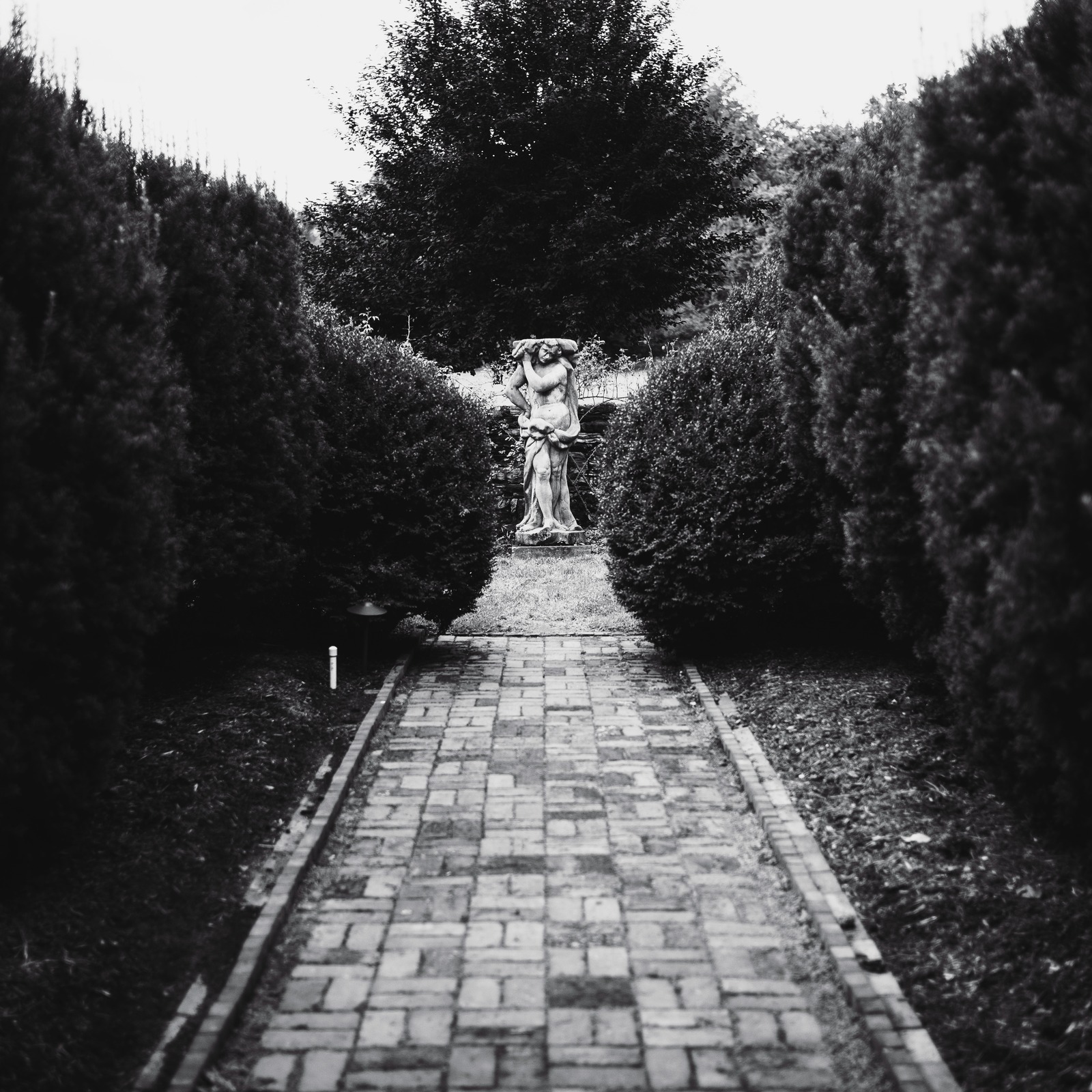 Whispers of the Garden