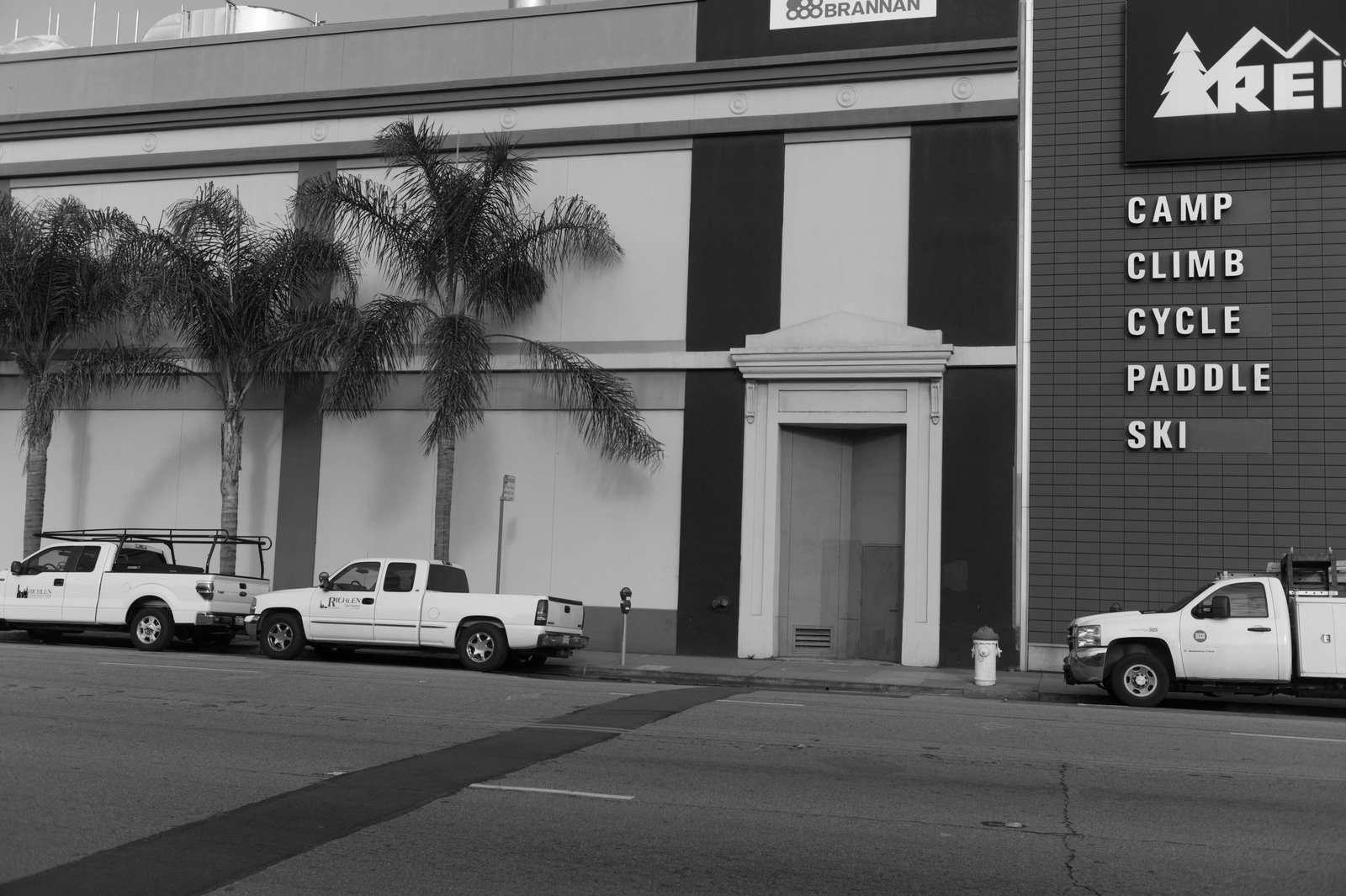 Urban Serenity in Monochrome