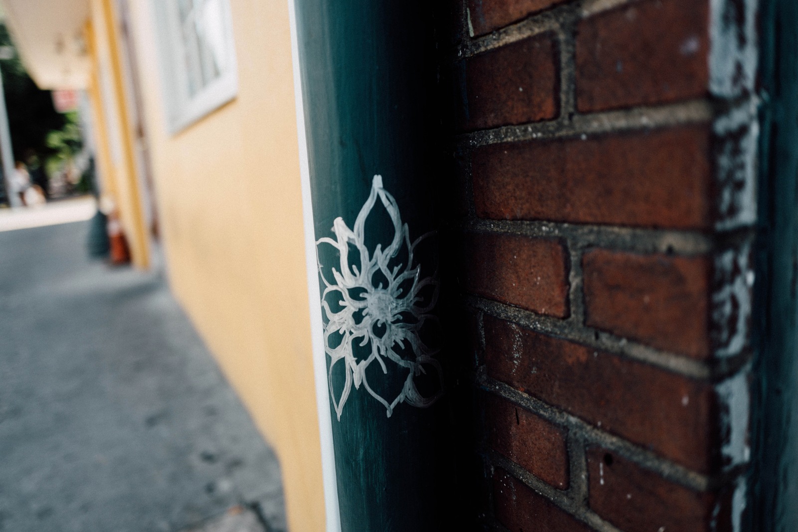 Urban Floral Contrast