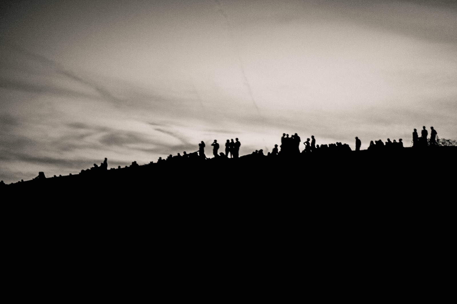 Silhouettes Against the Sky