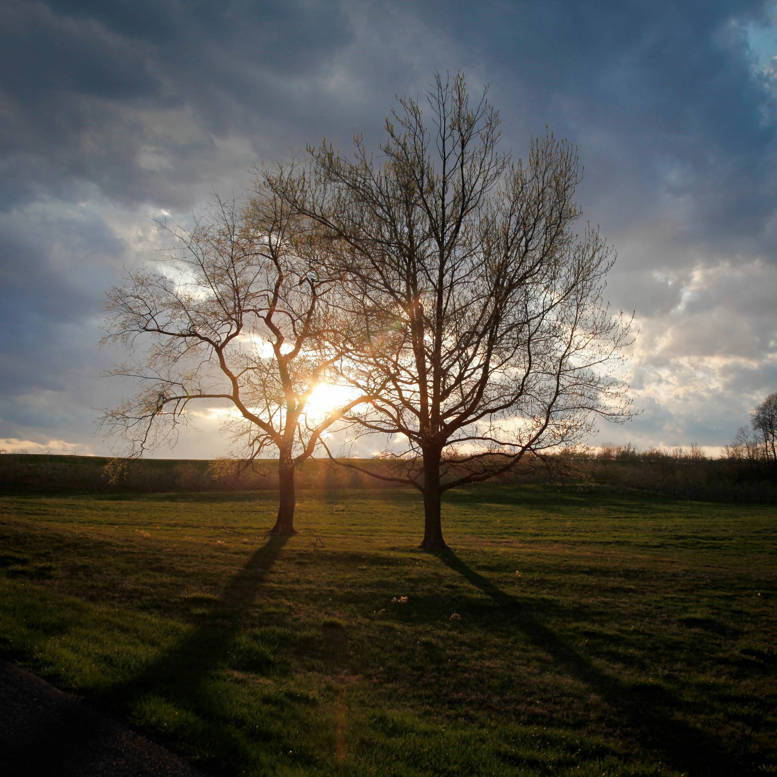 Silhouettes at Sunset