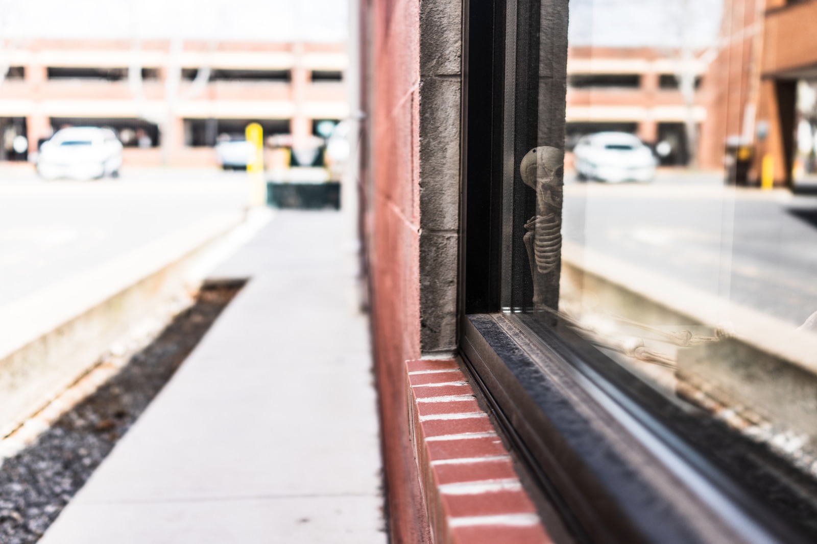 Reflections of Mortality