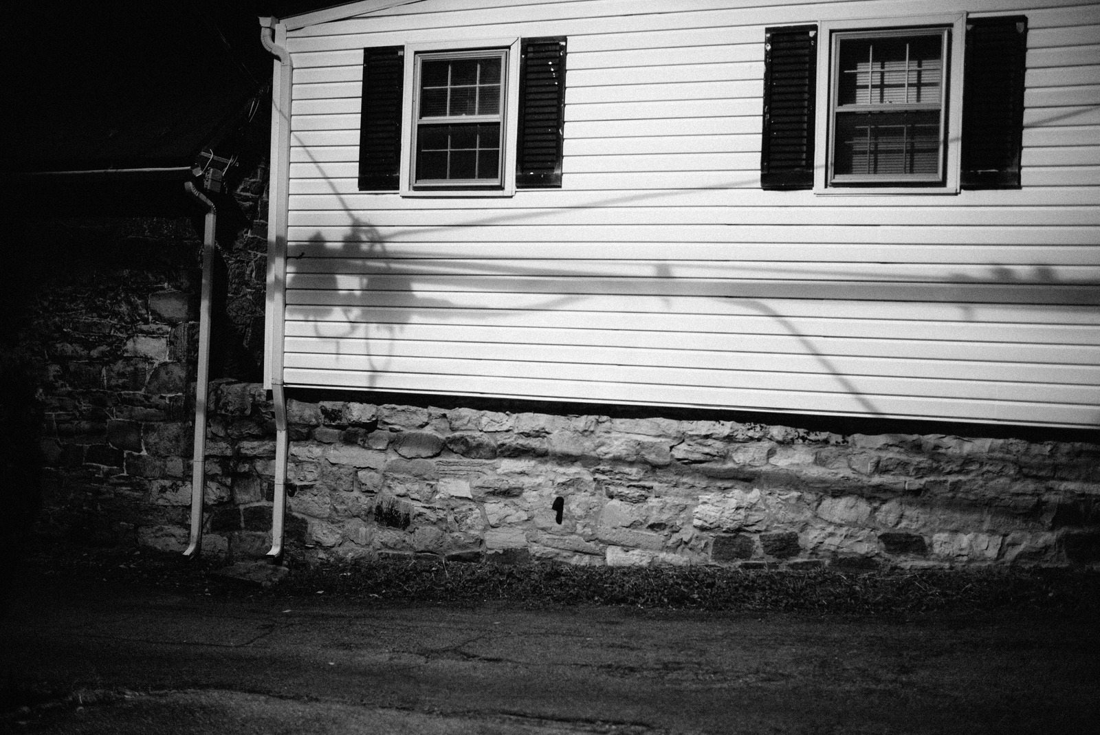 Shadows on a Quiet Night