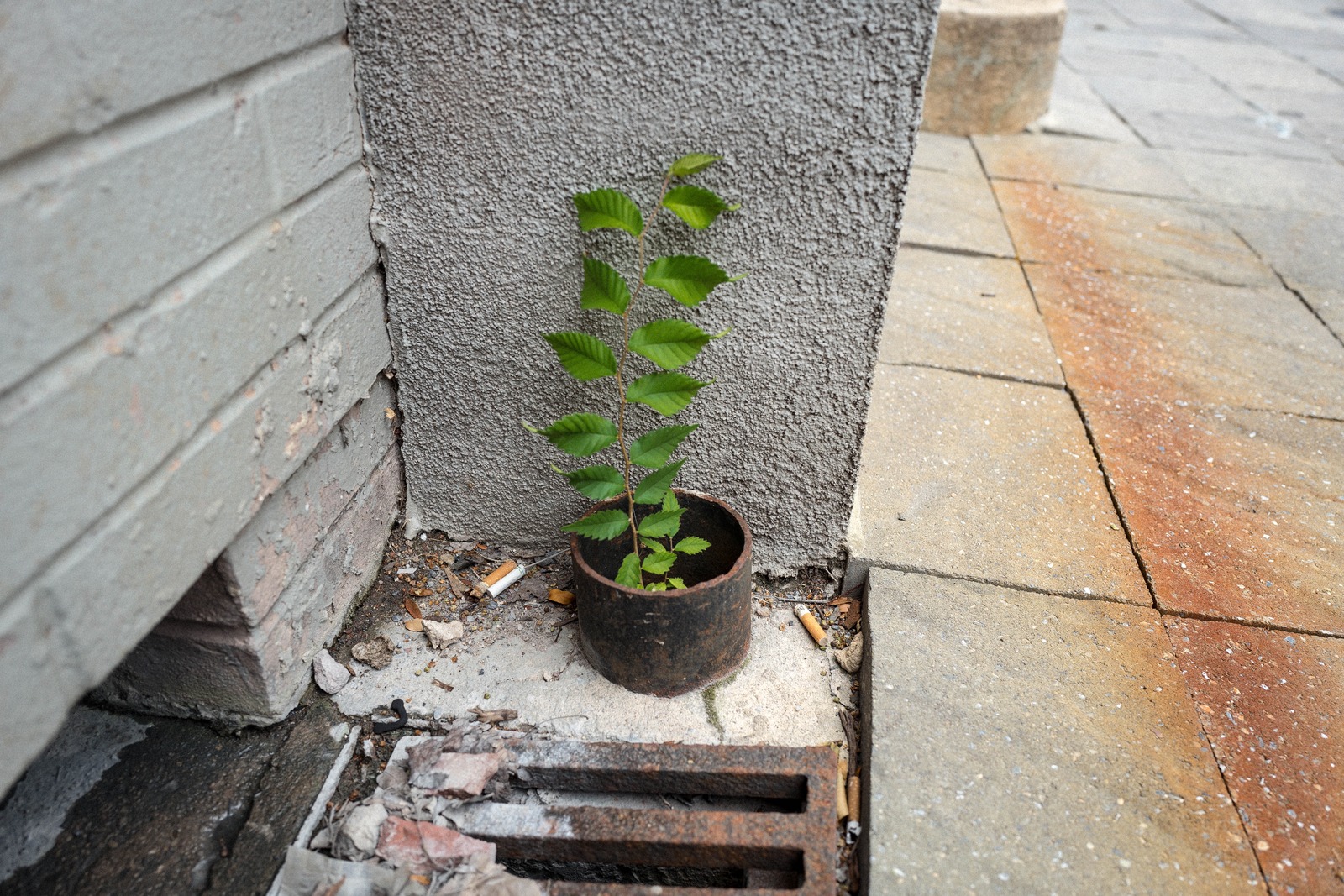 Resilience in Concrete