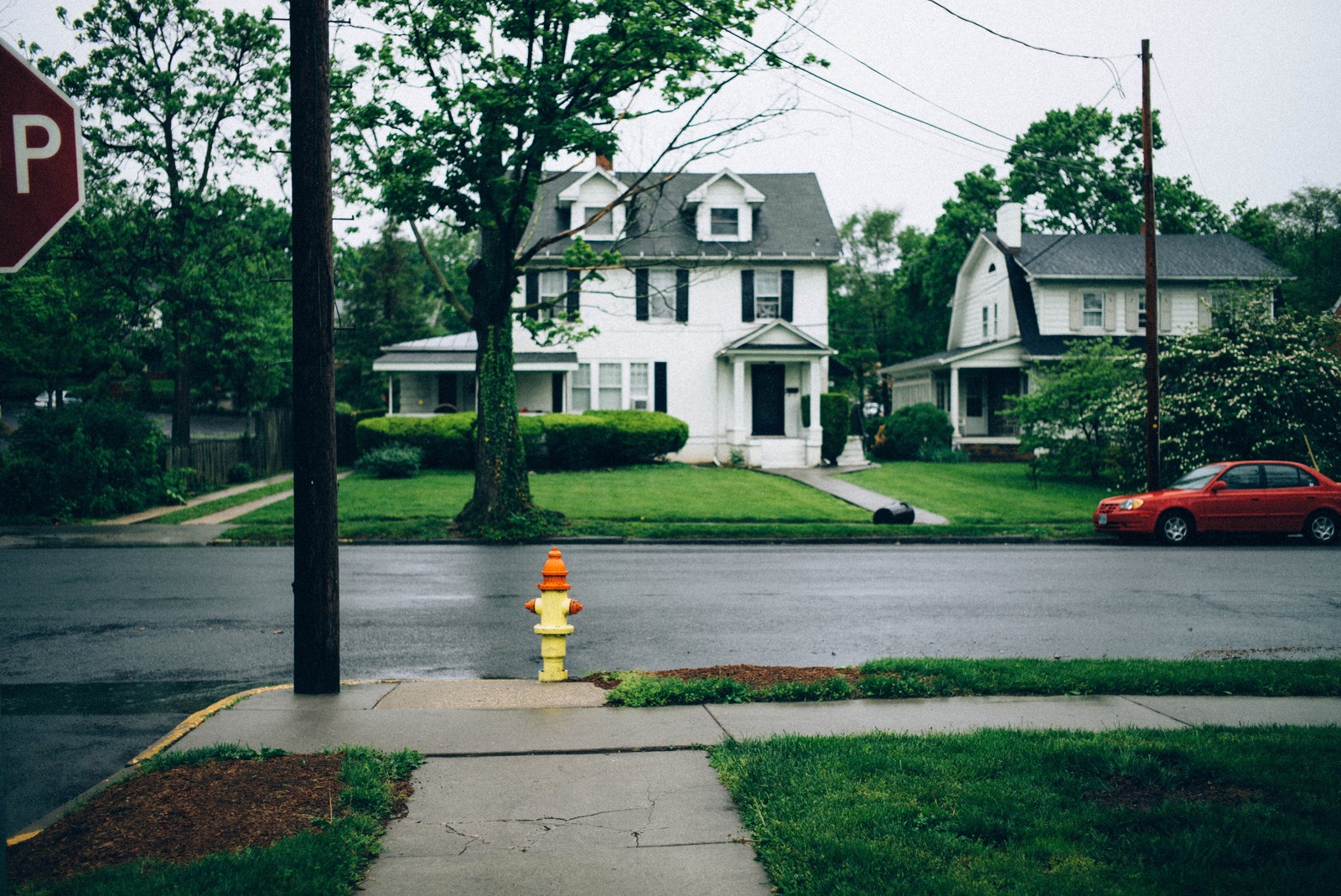 Quiet Rainy Street Scene