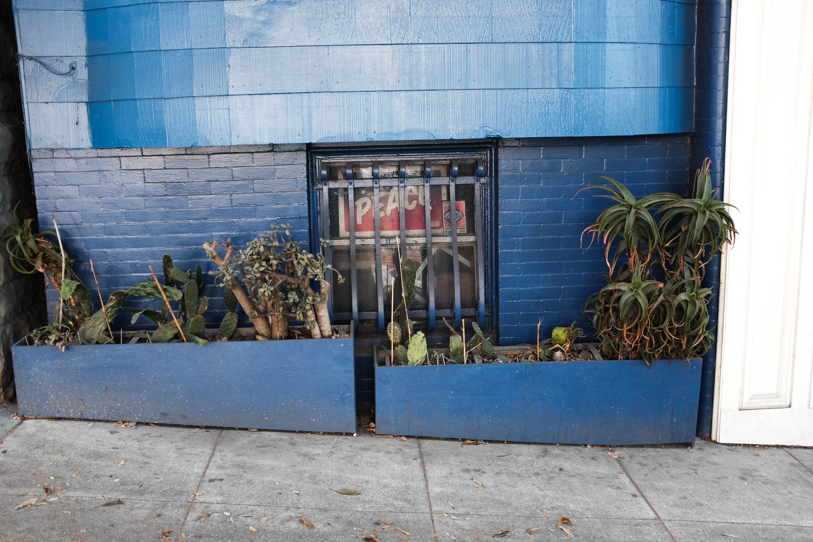 Urban Serenity in Blue