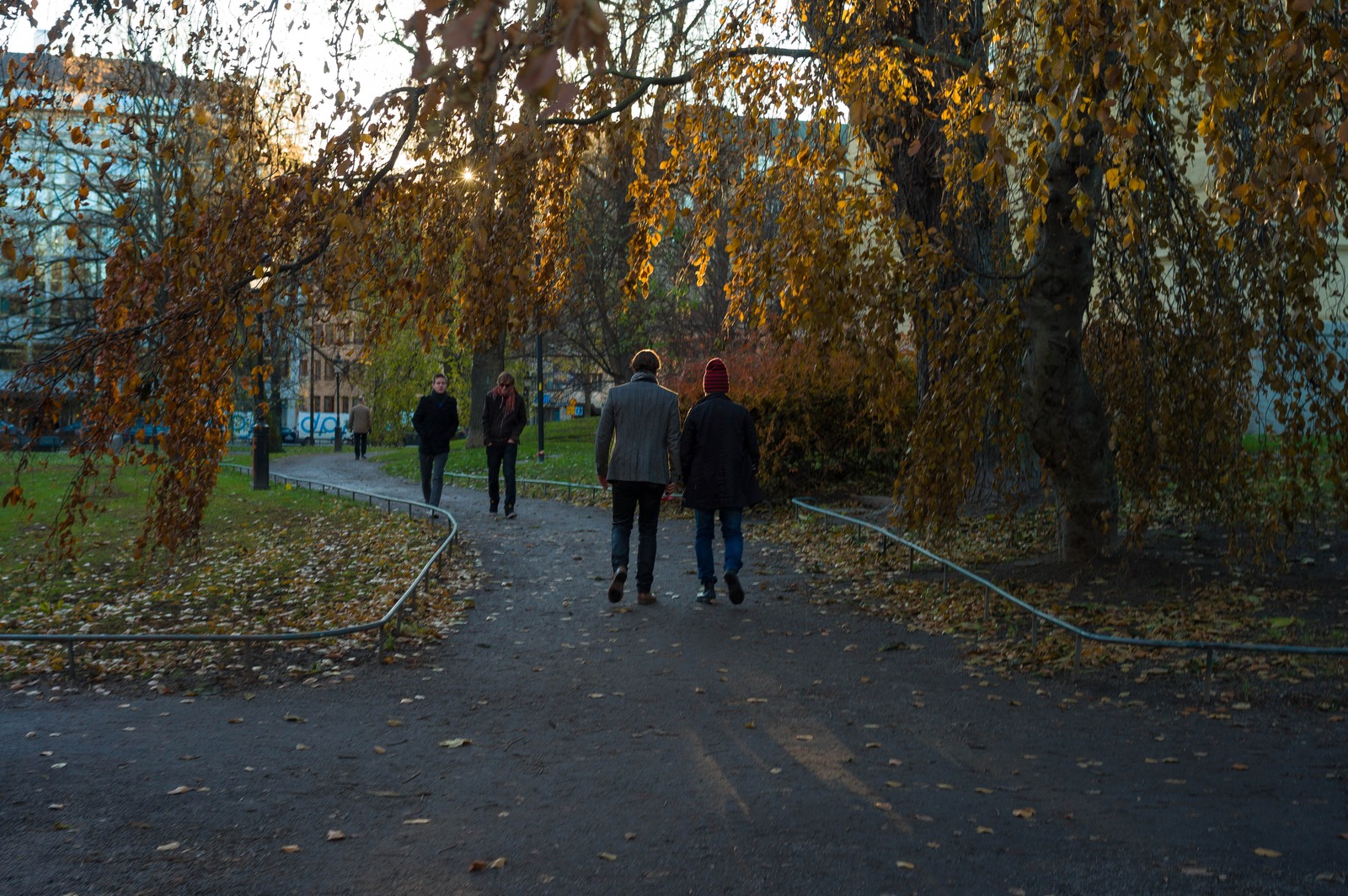 Autumn Stroll at Dusk