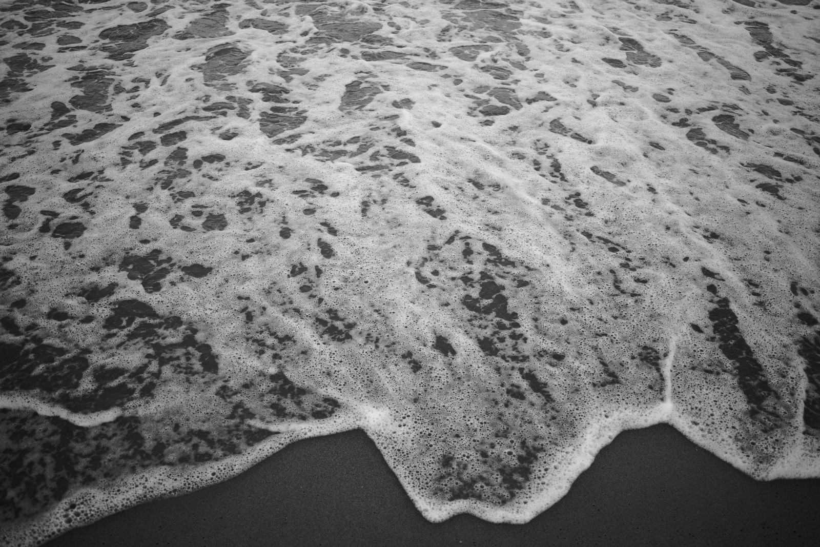 Whispers of the Ocean