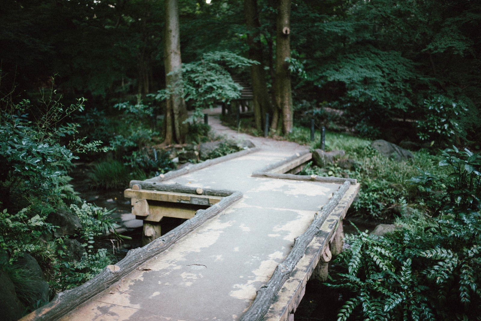 Pathway Through Serenity