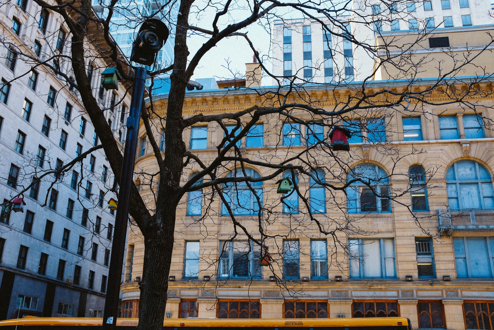 Urban Winter Serenity