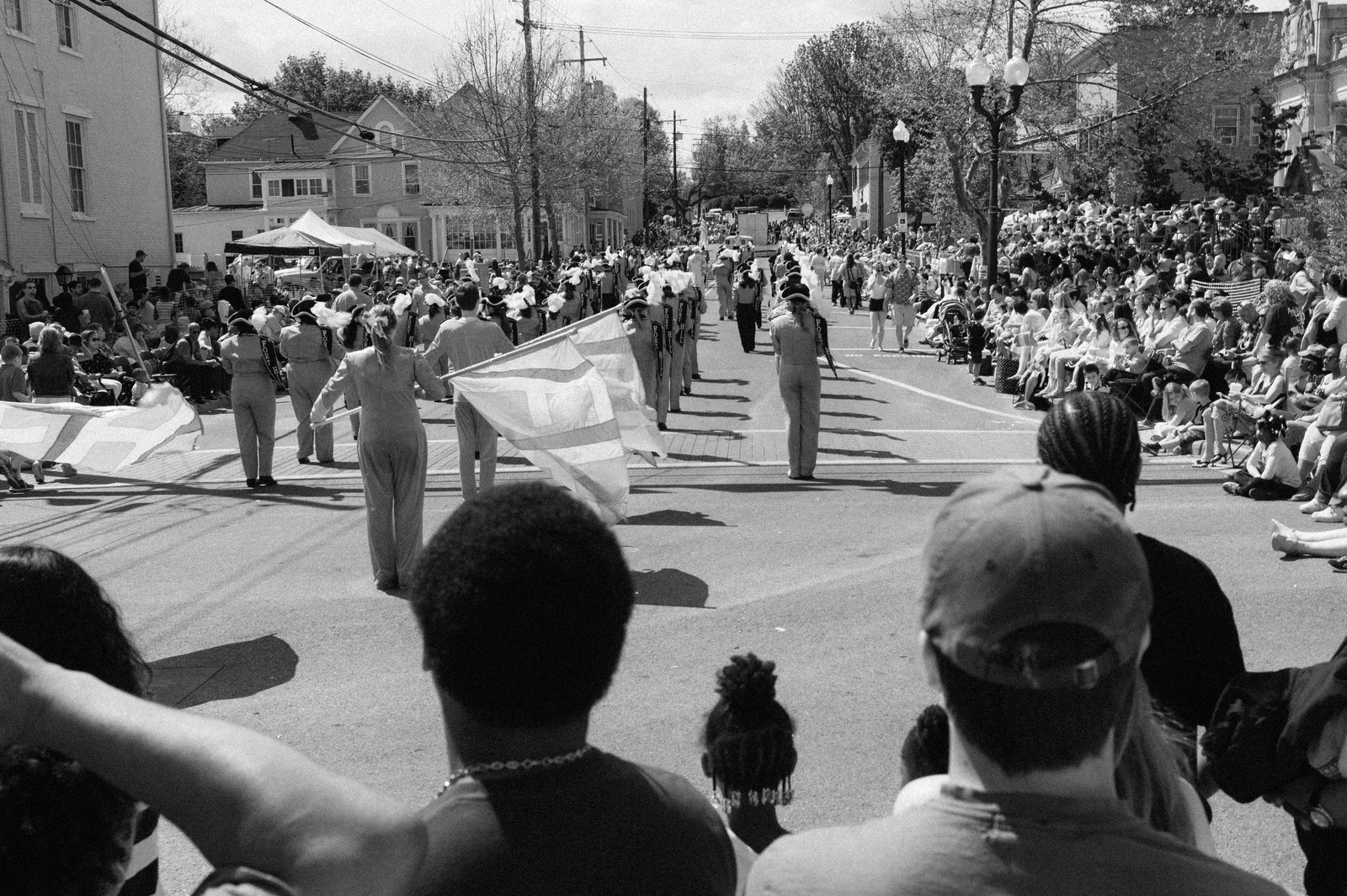 Celebration in Motion