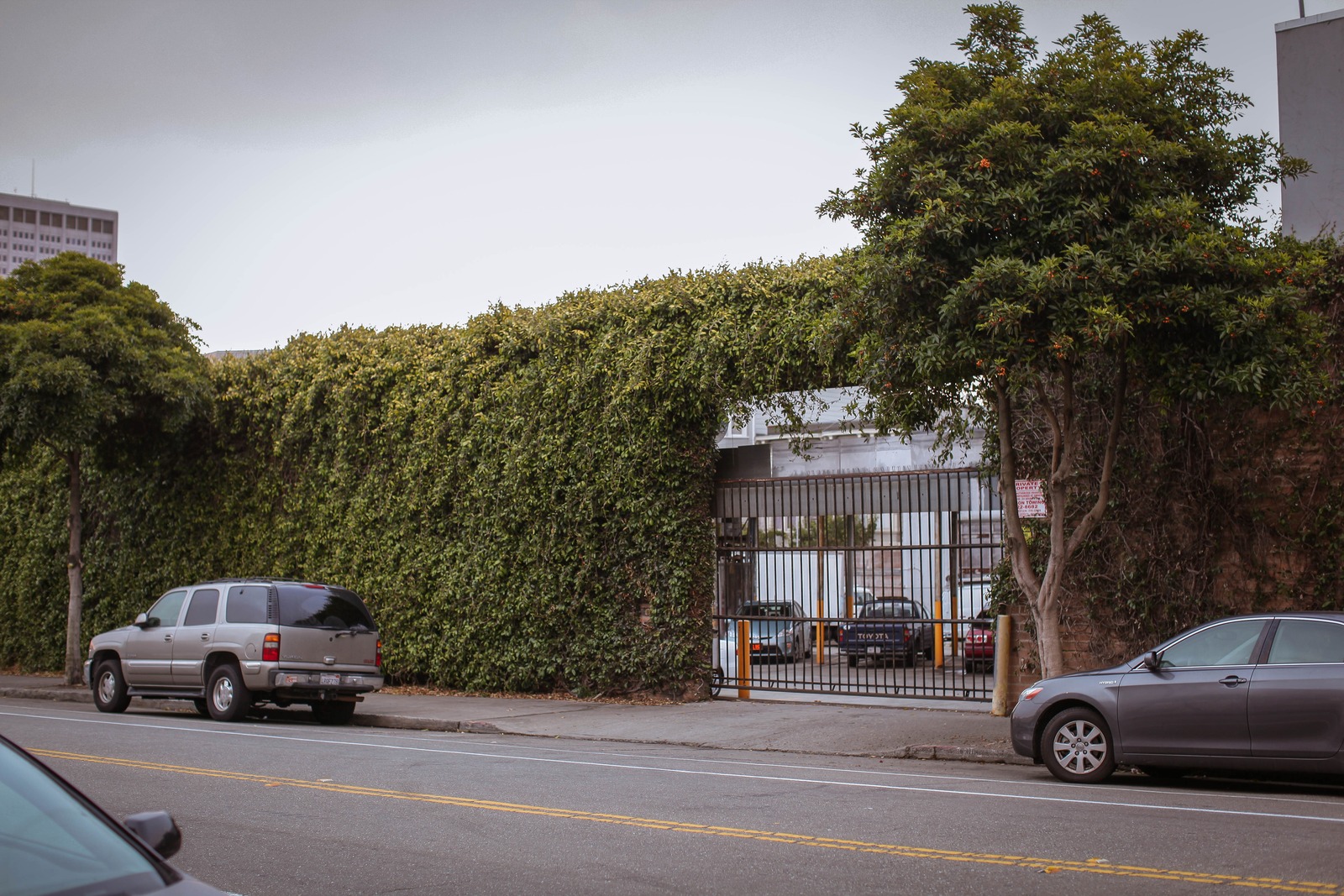 Urban Greenery Meets Steel