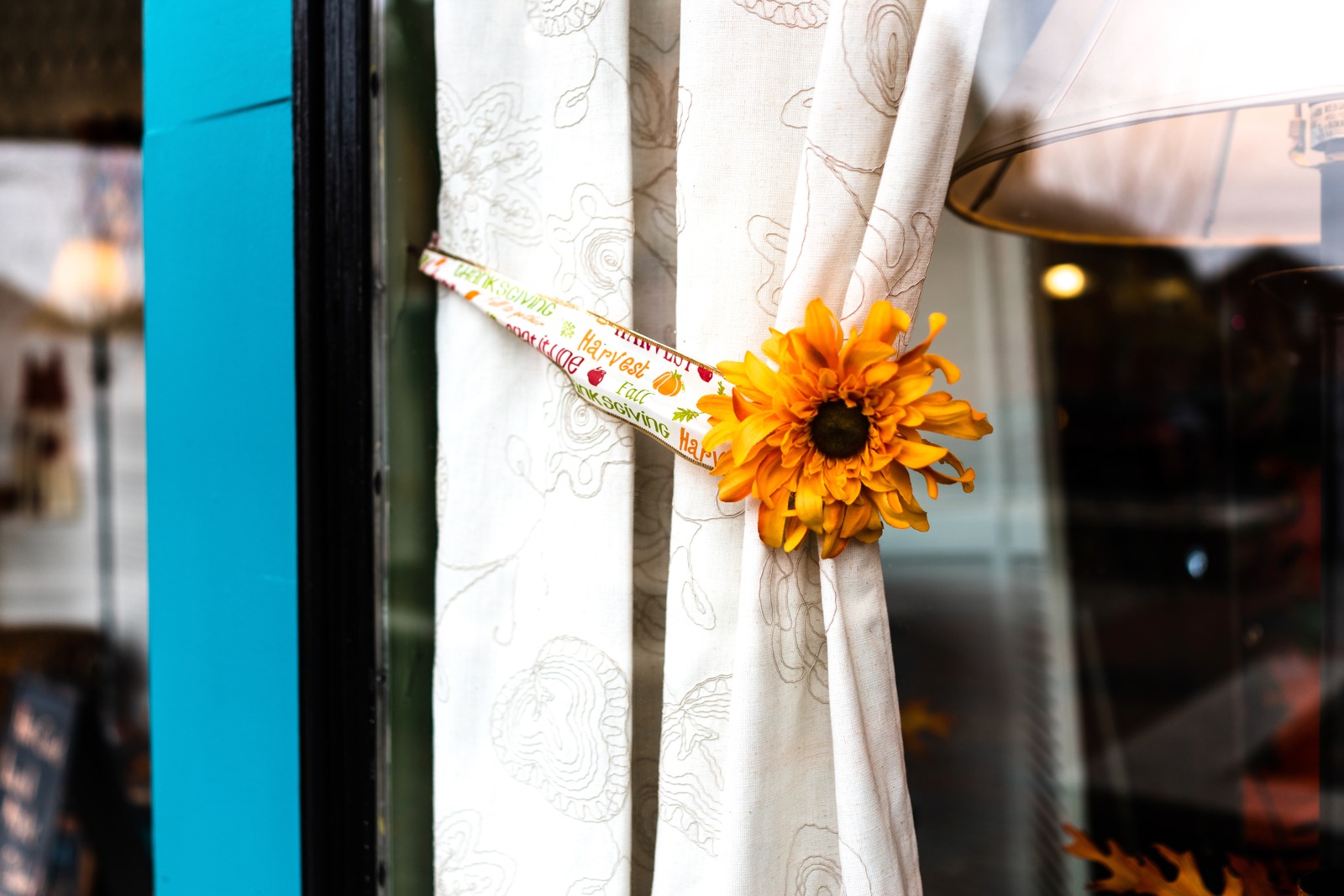 Radiant Window Bloom