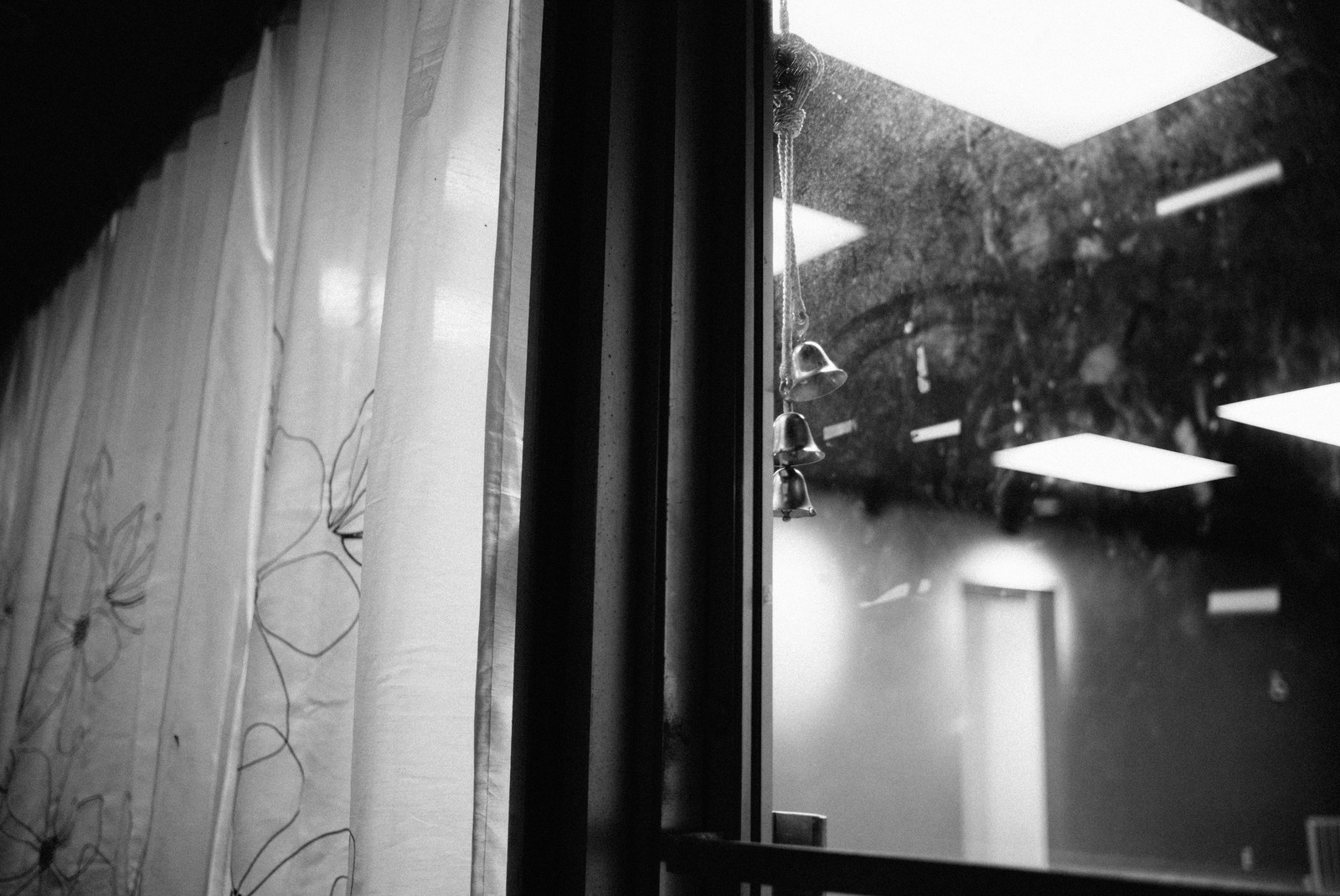 Whispers of Light and Shadow