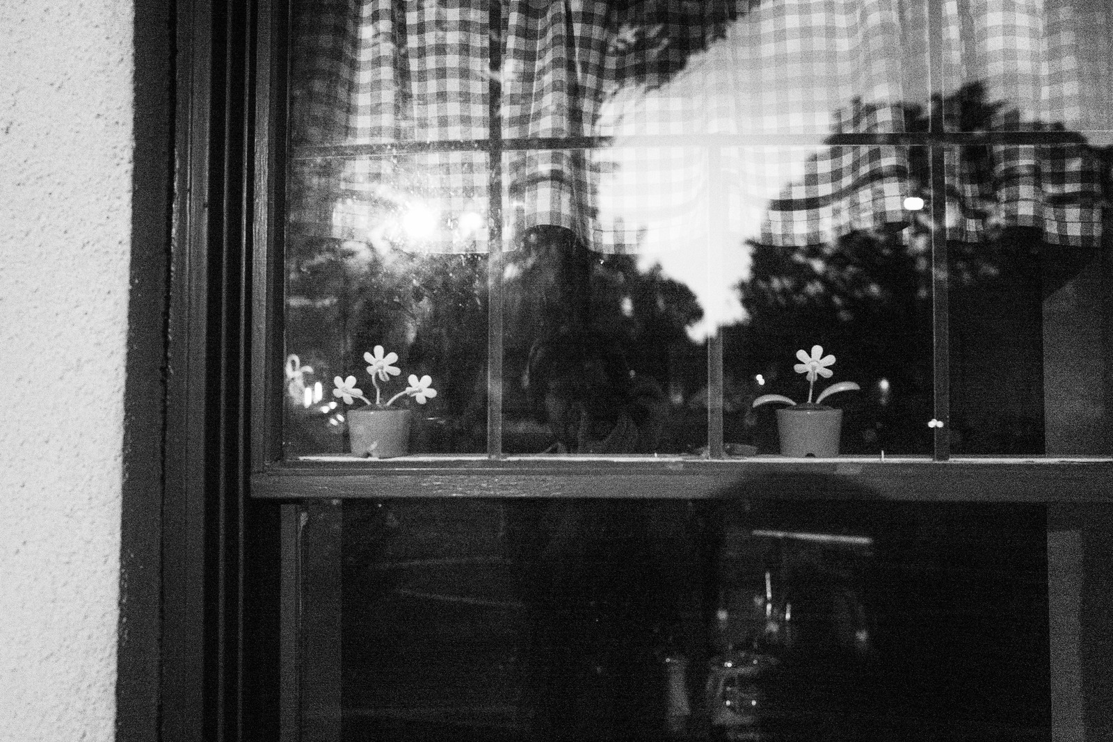 Quiet Reflection of Home