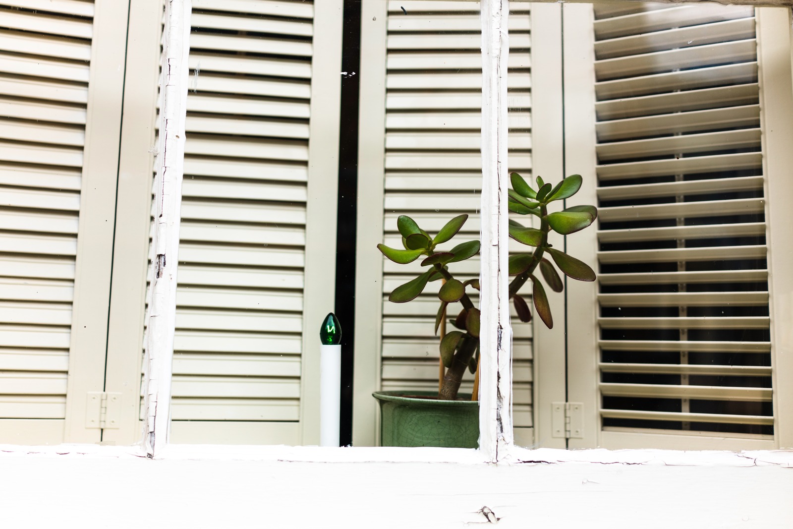 Reflections of Green Serenity