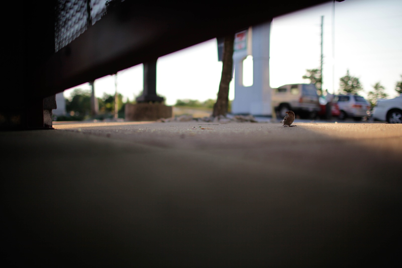 A Moment of Solitude