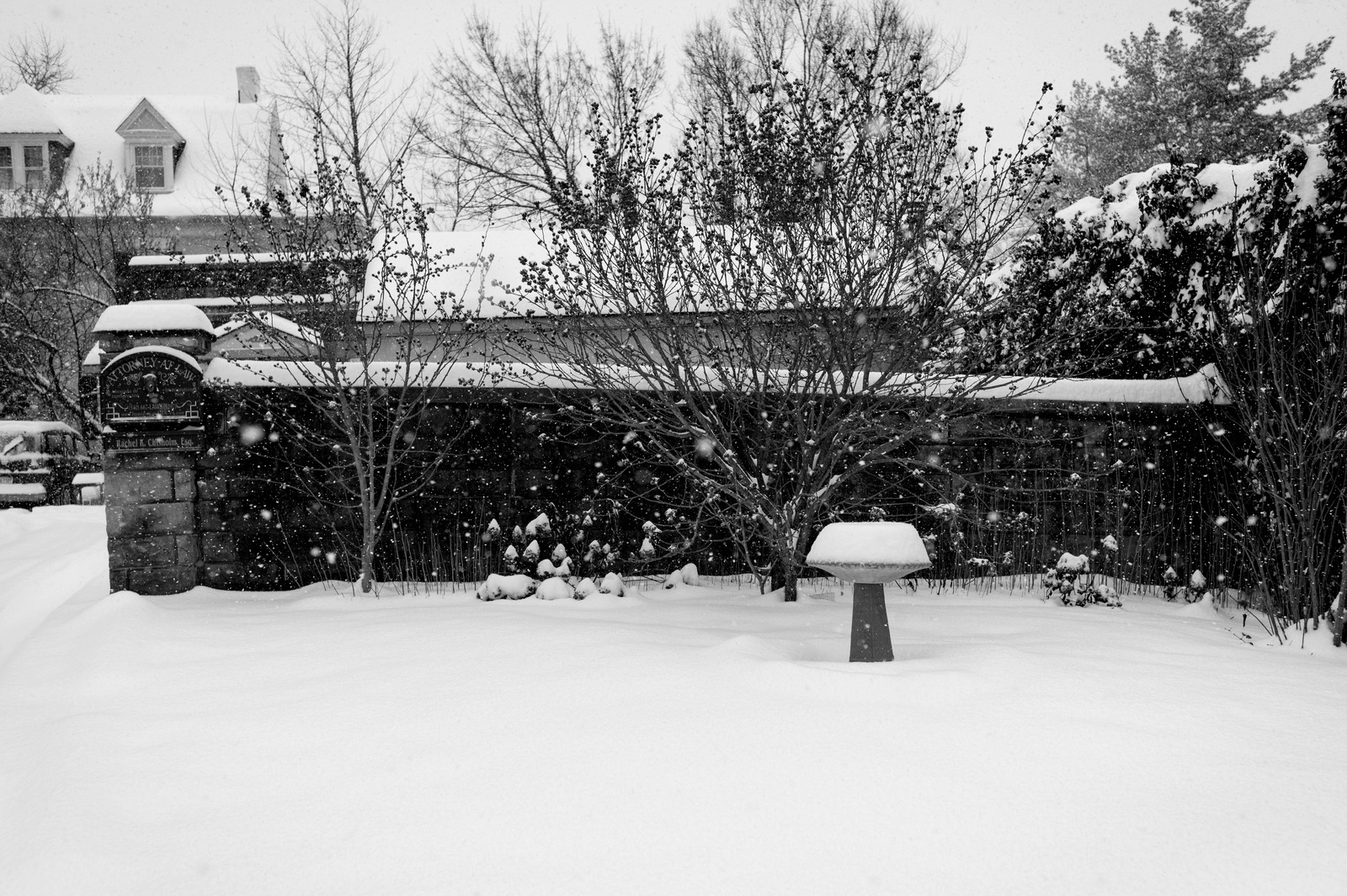 Silent Snowfall Serenity