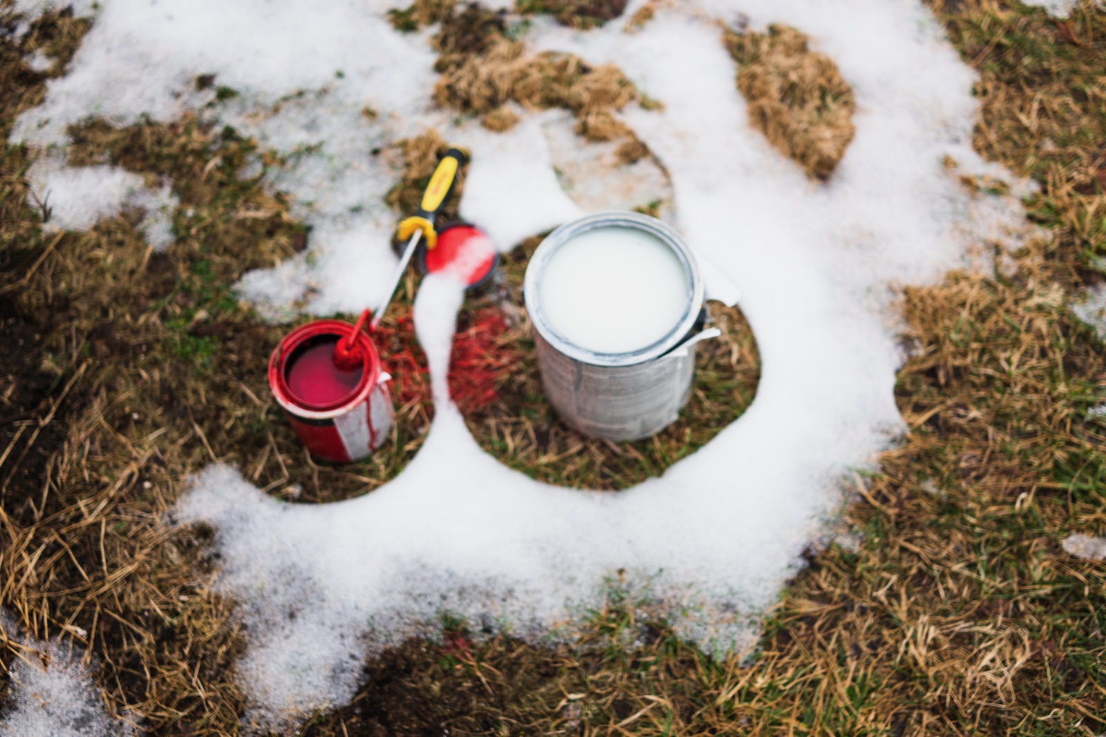 Colorful Contrast on Snow