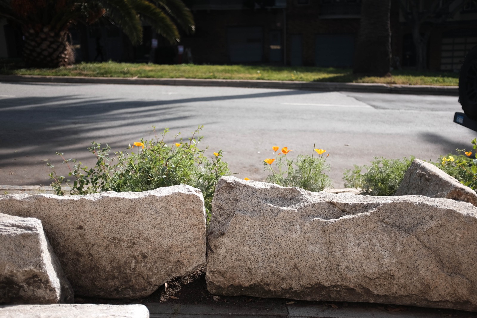 Through the Stone Gap