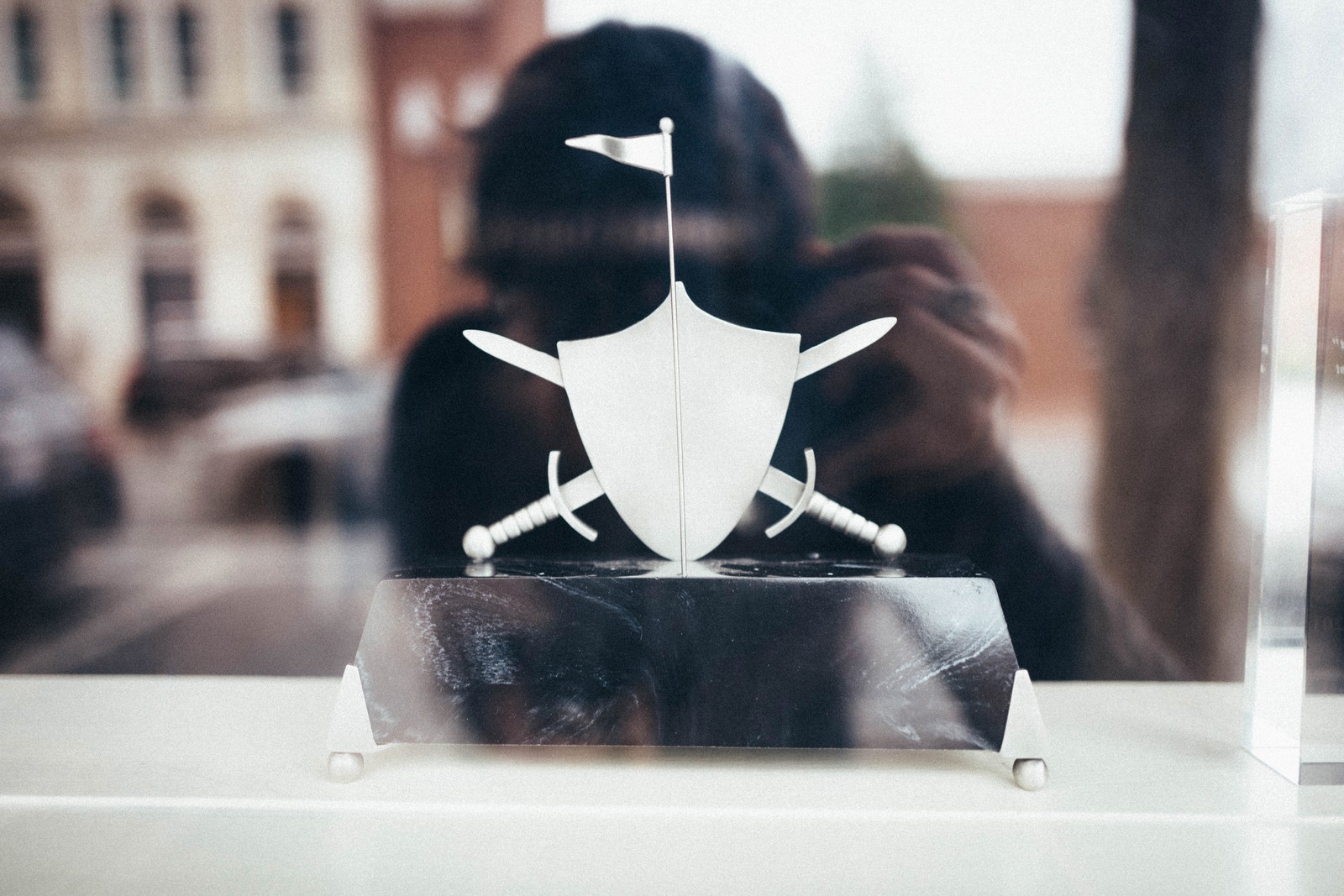 Reflections of Valor