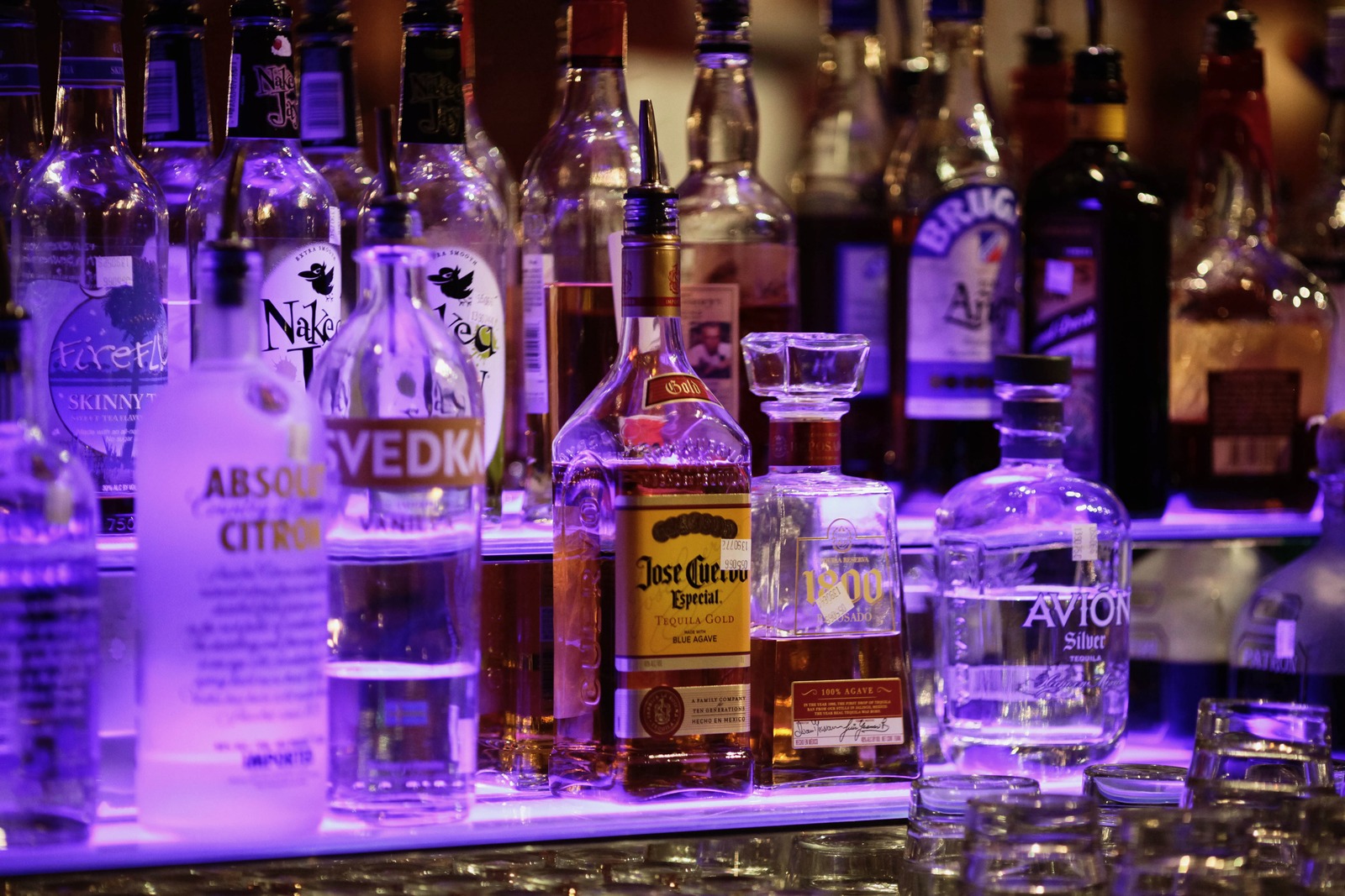 Vibrant Spirits of the Night