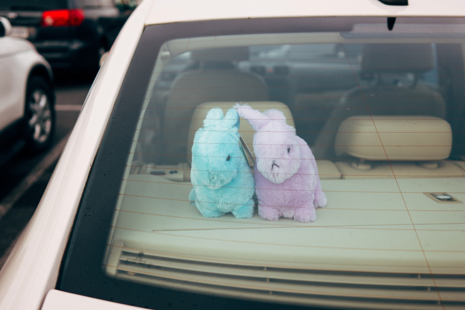Whimsical Rearview Companions